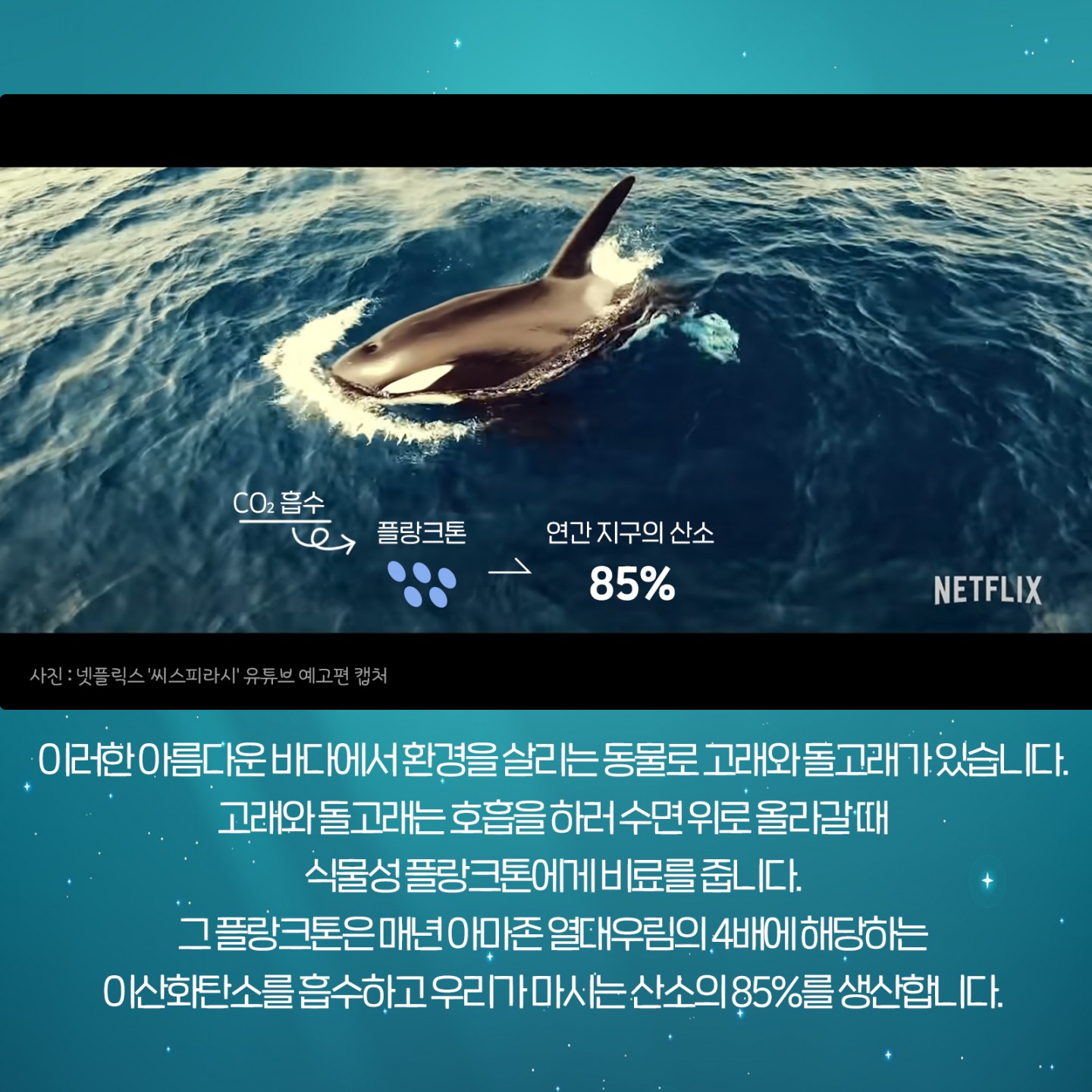 b1b311d20db3a91abccbd4999ddc3fe0_1618968245_9969.jpg